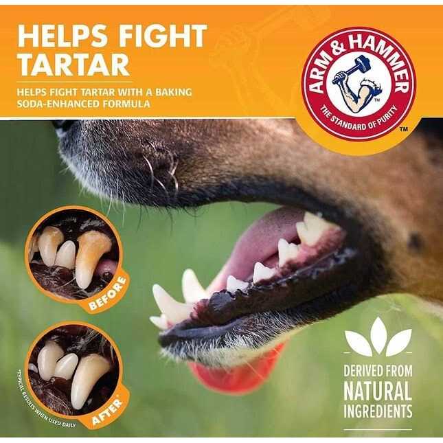 Flavorless Dental Rinse for Dogs P95440