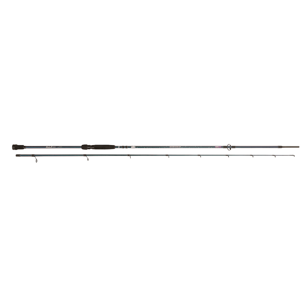Spinning Rod L16757
