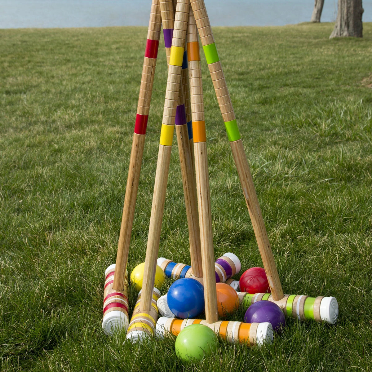 Croquet Set with Carrying Case N232383