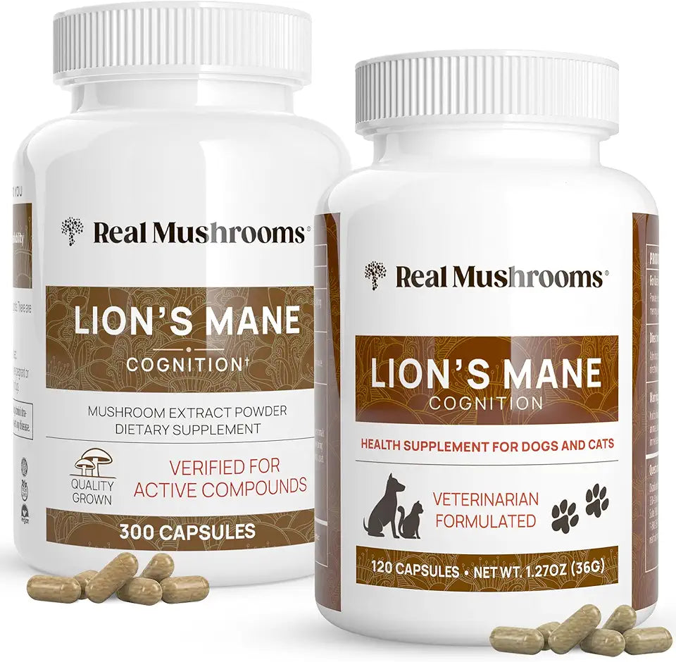 Lions Mane Mushroom Extract Supplements S138