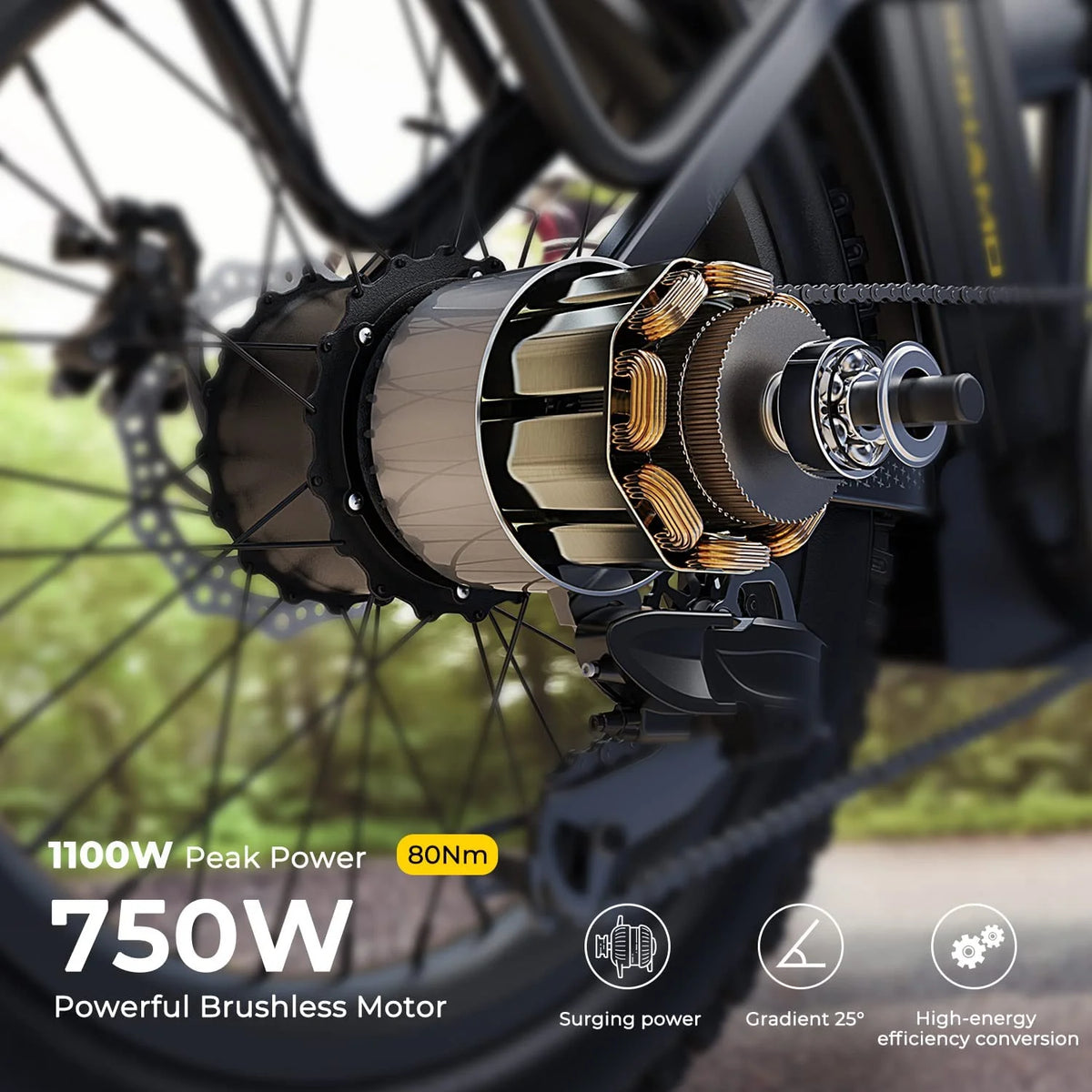Foldable 20" Fat Tire Electric Bike with 750W Motor Y11482