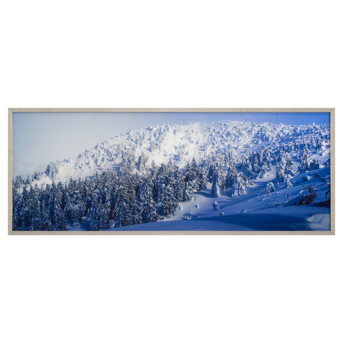Alpine Landscape R29611
