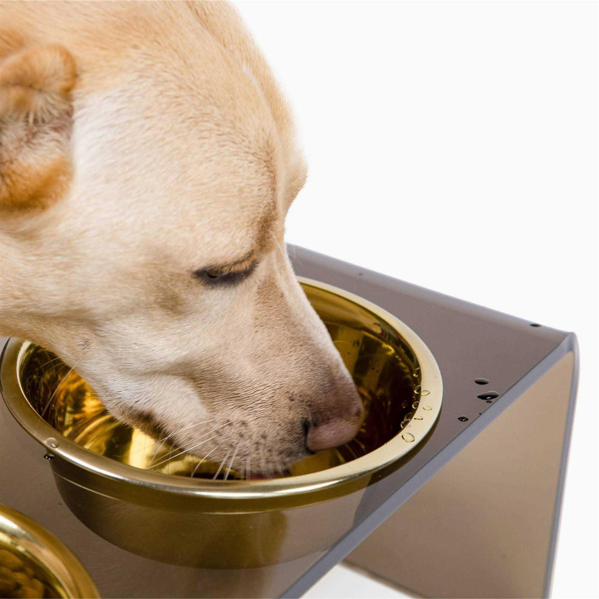 Acrylic Double Bowl Elevated Pet Feeder L234623
