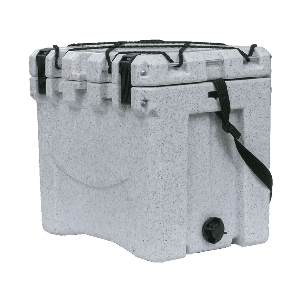 22 Quart Cooler C258415