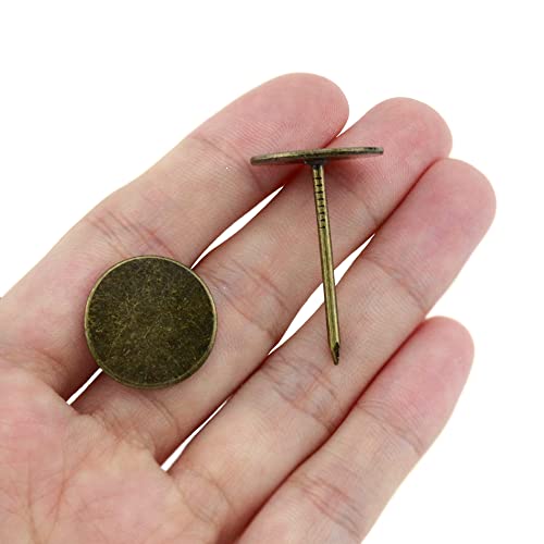 Bronze Flat Head Upholstery Tacks (19mm x 30mm, 100Pcs) O621