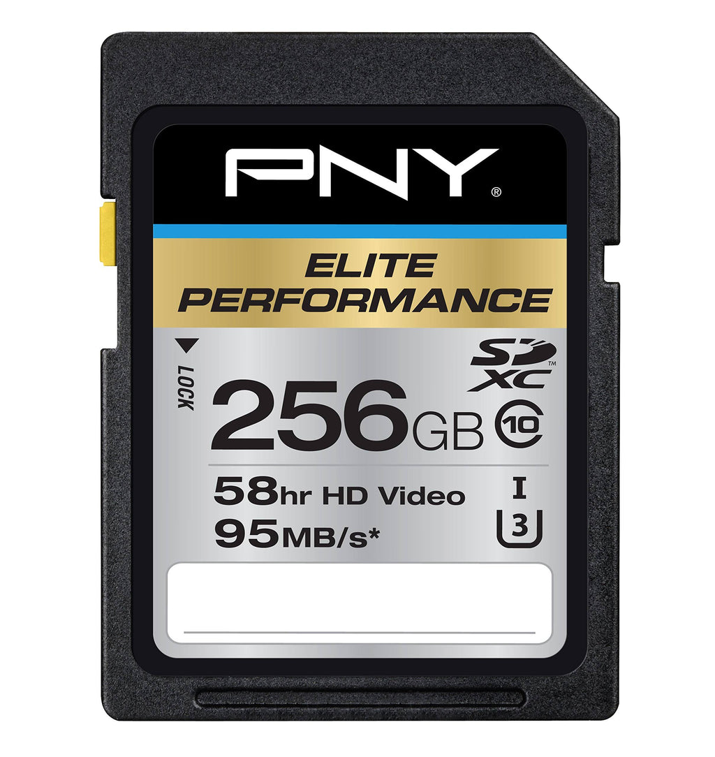 256 GB SDXC Class 10 UHS-I U3 Flash Card W507519