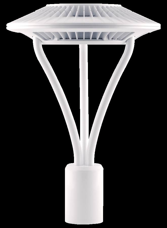Area Light Post Top 26W Cool 480V LED Type V WH P355