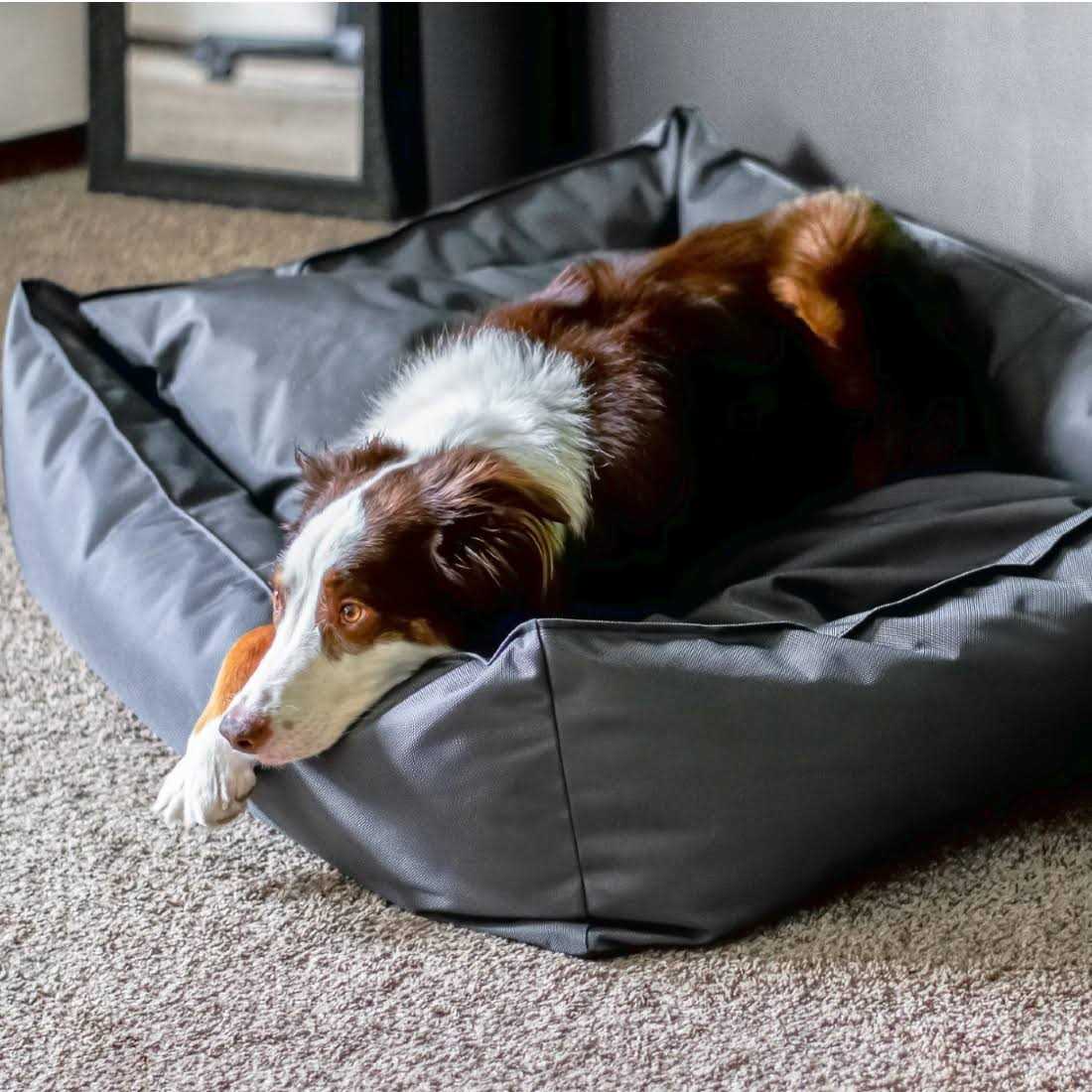 Ballistic Dog Bed M99367