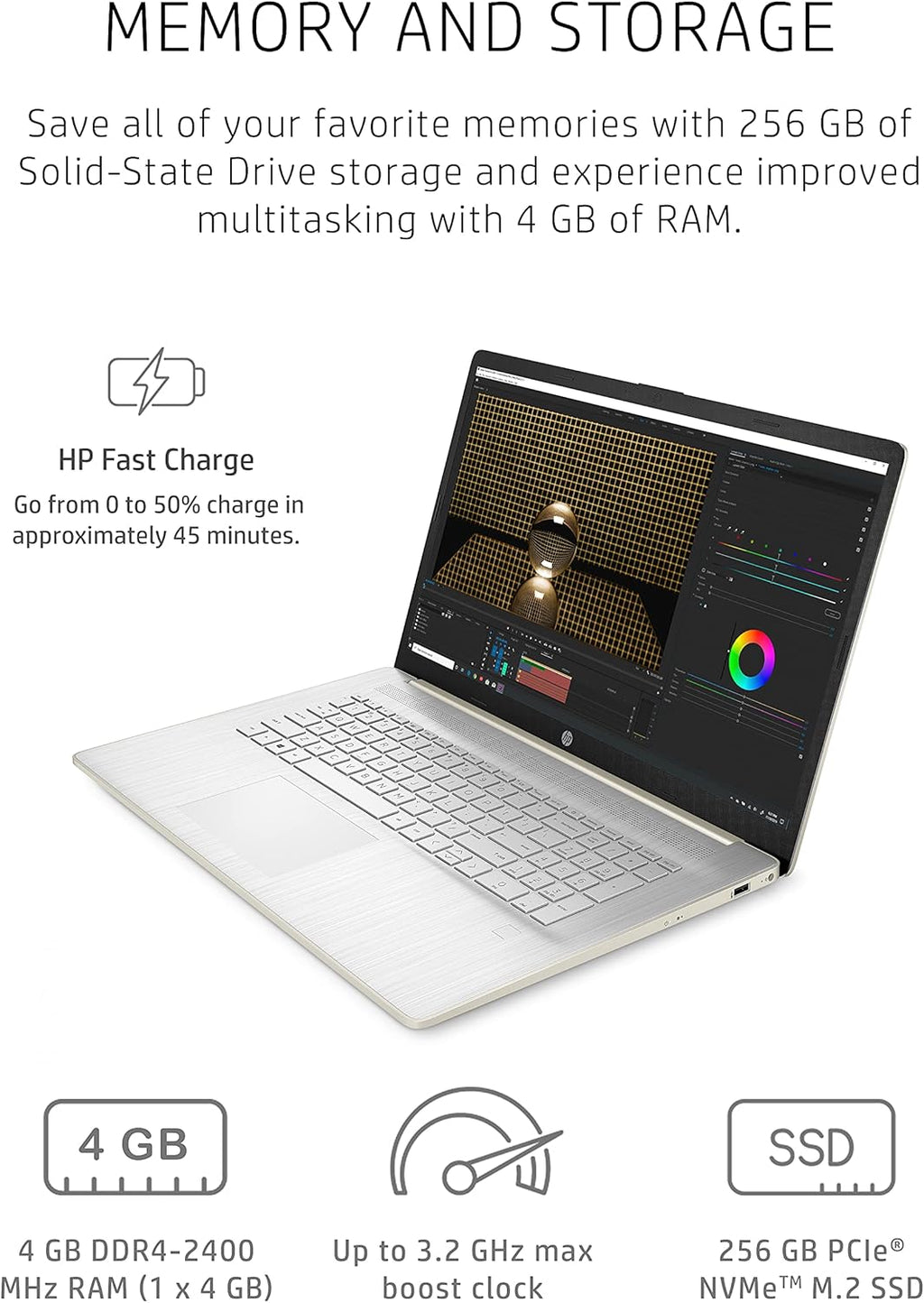 17.3-inch HD+ Display Laptop D491