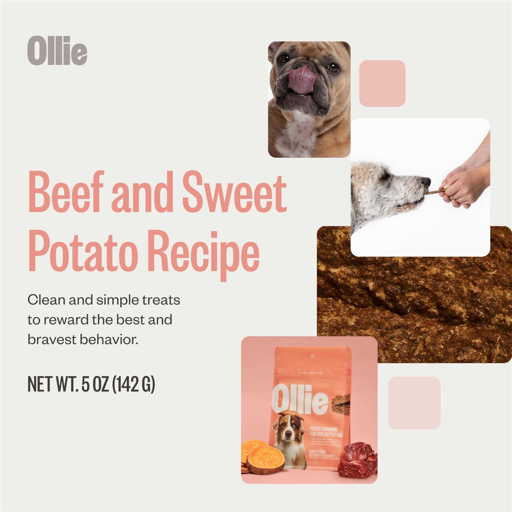 Beef and Sweet Potato Dog Jerky Treats N241414