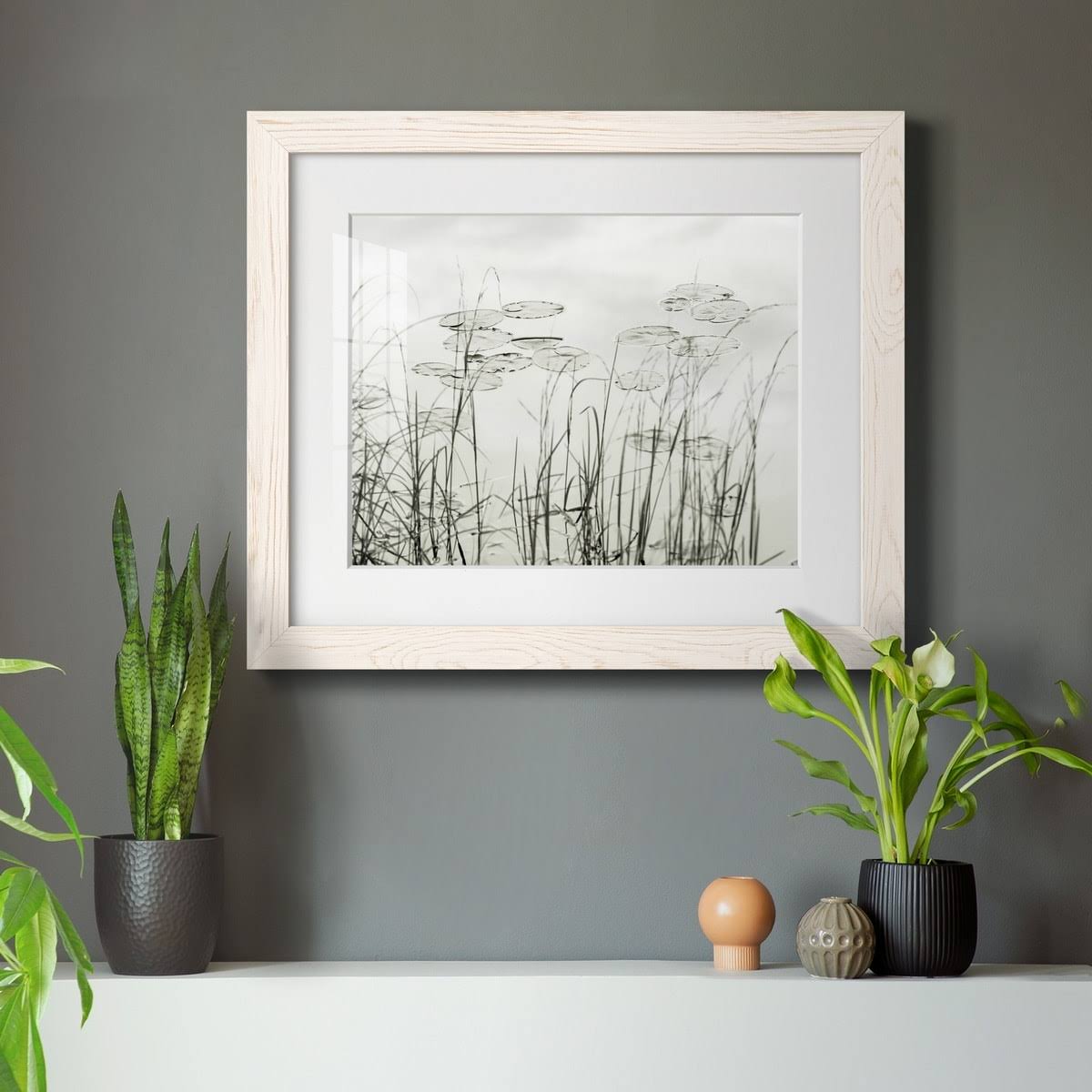 Maple Framed Print S285918