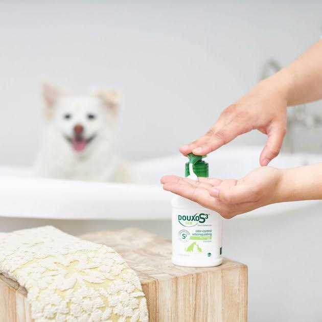 Douxo S3 SEB Shampoo H80244