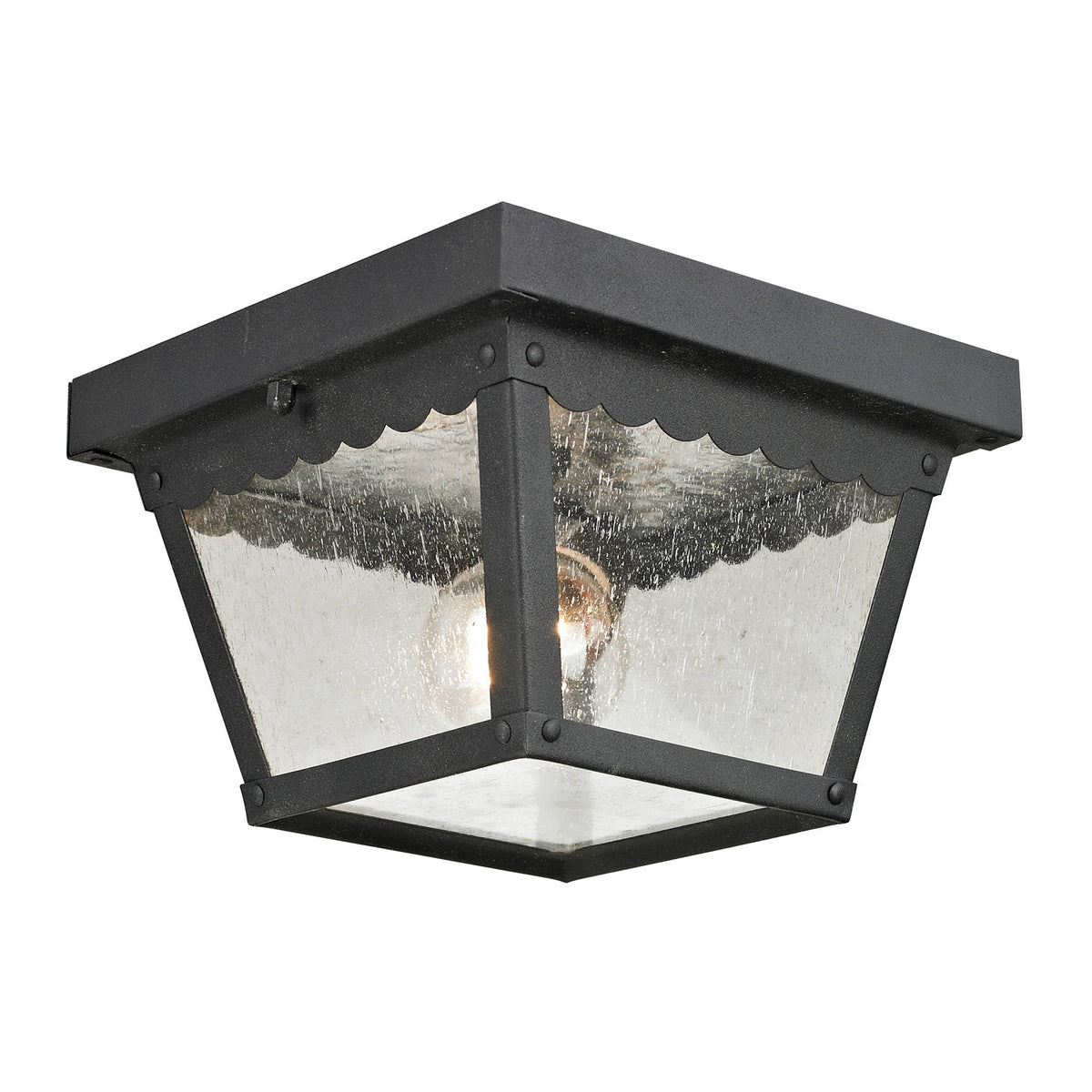 Matte Textured Black 2 Light Flush Mount U3843