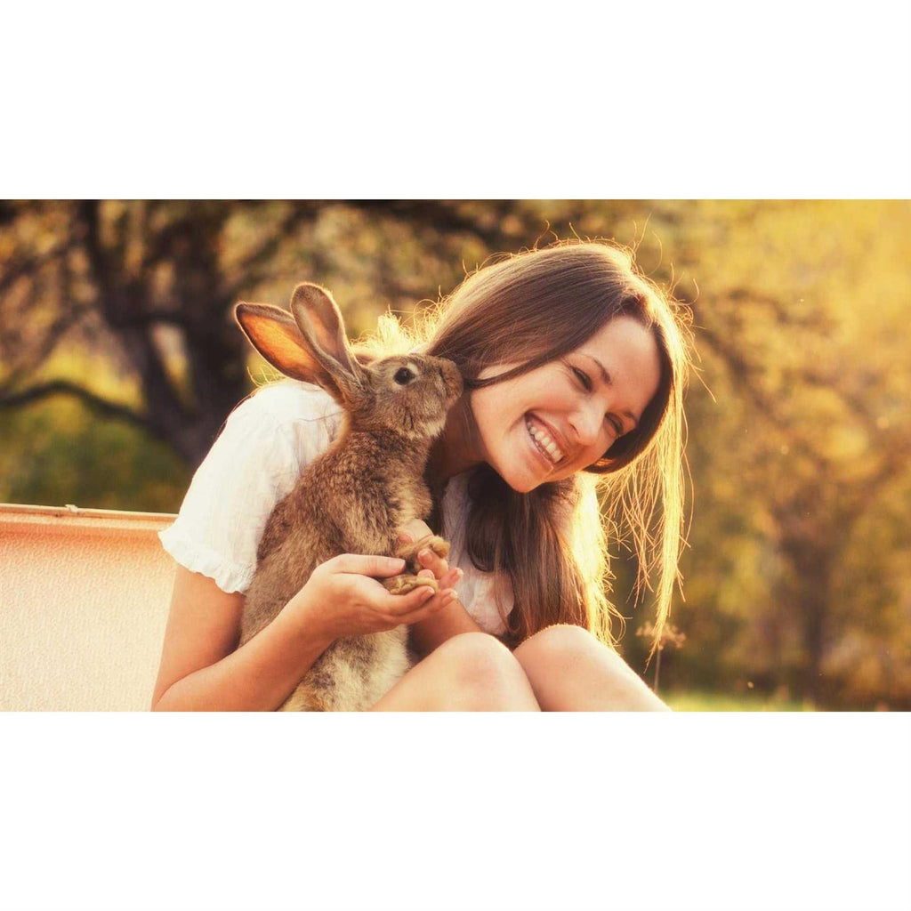 Timothy Rabbit Food H37627