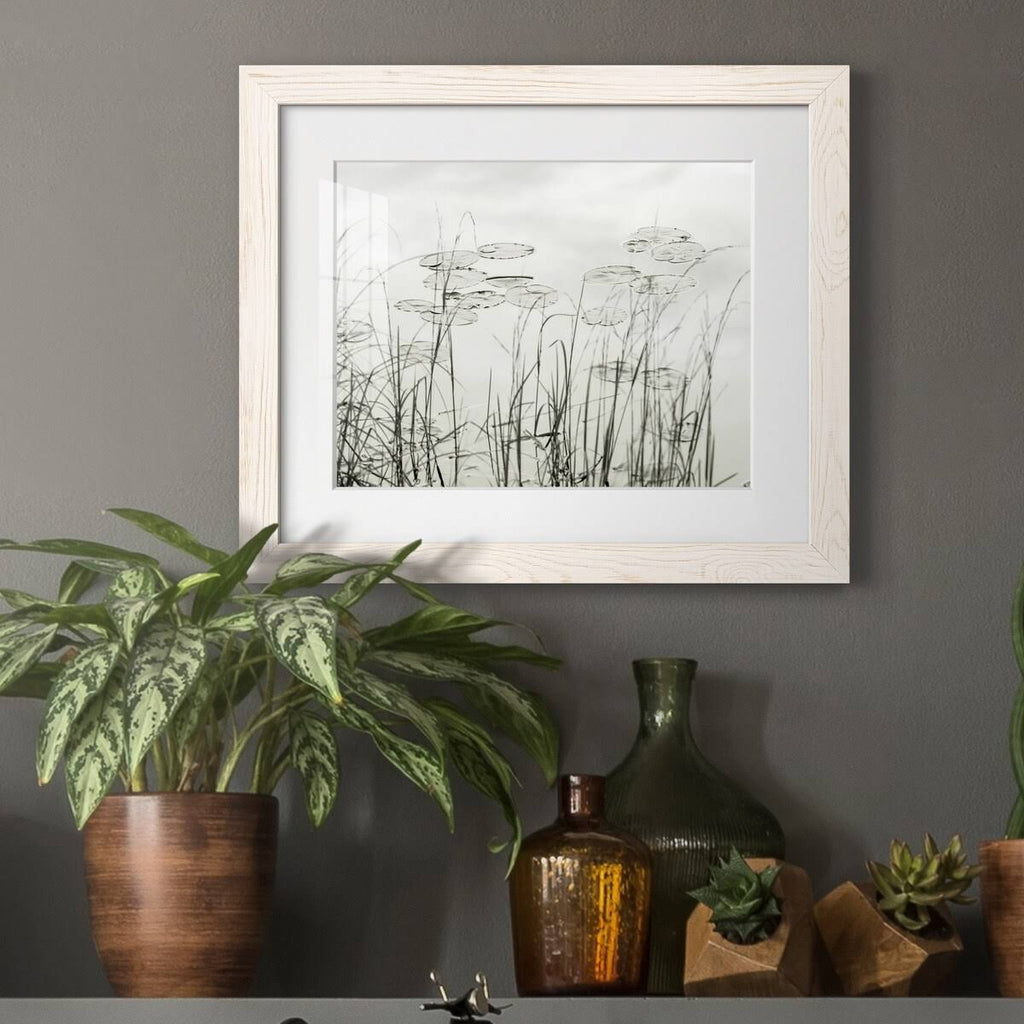 Maple Framed Print S285918