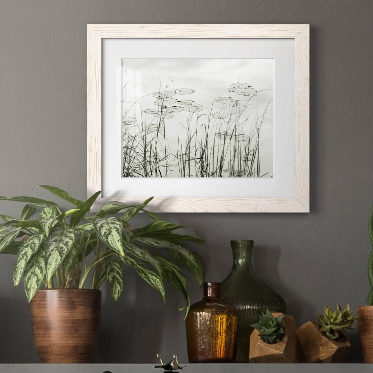Maple Framed Print S285918