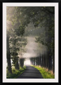 Photographic Print Black Frame 38x22 H x 28x22 W x 1x22 D V2526