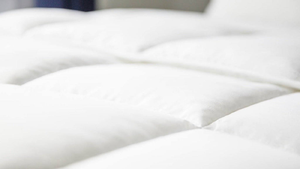 Oversized King Down Alternative Microfiber Comforter B6246