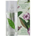 Green Tea Eau De Toilette Spray 3.4 oz P654