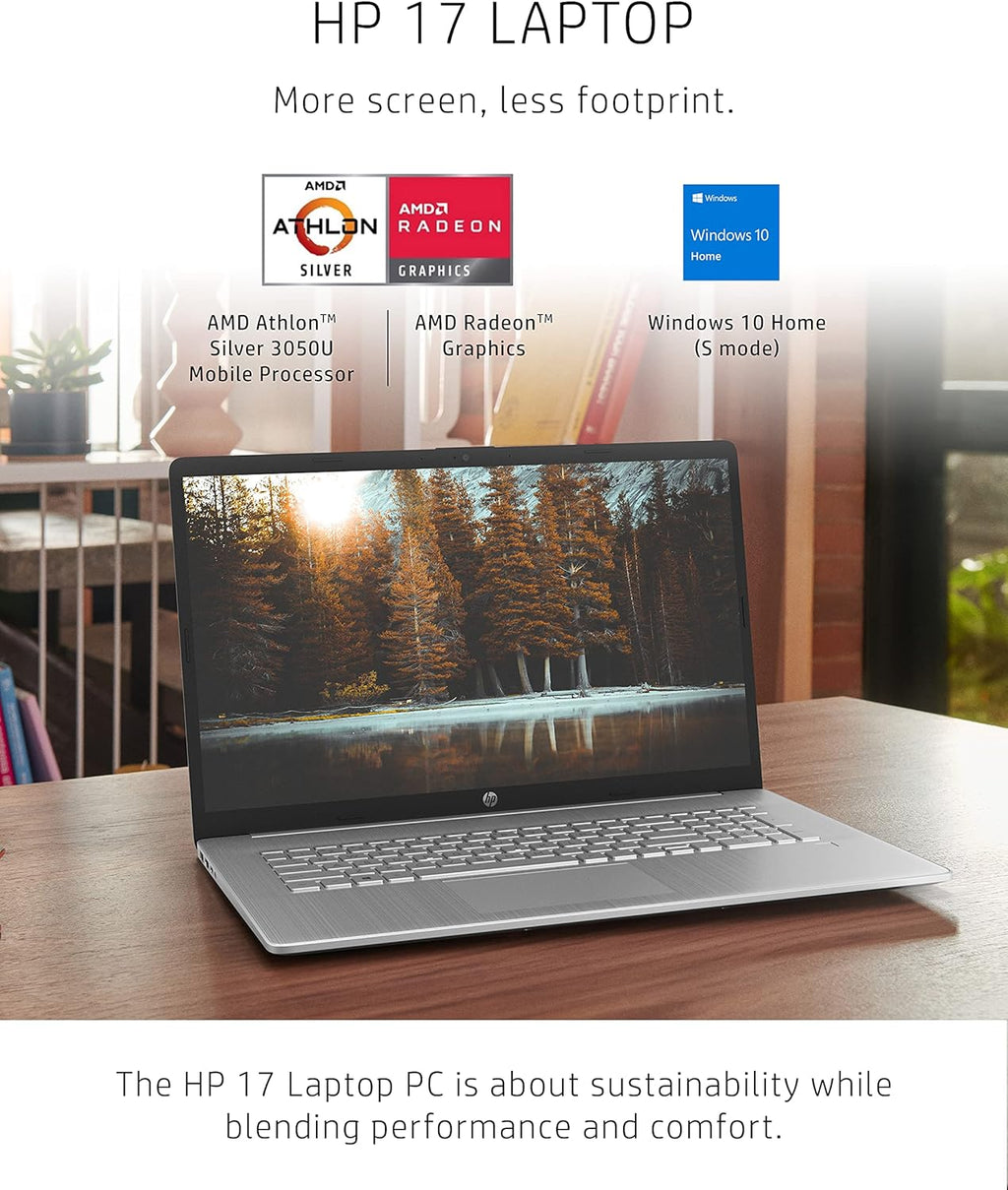 17.3-inch HD+ Display Laptop D491