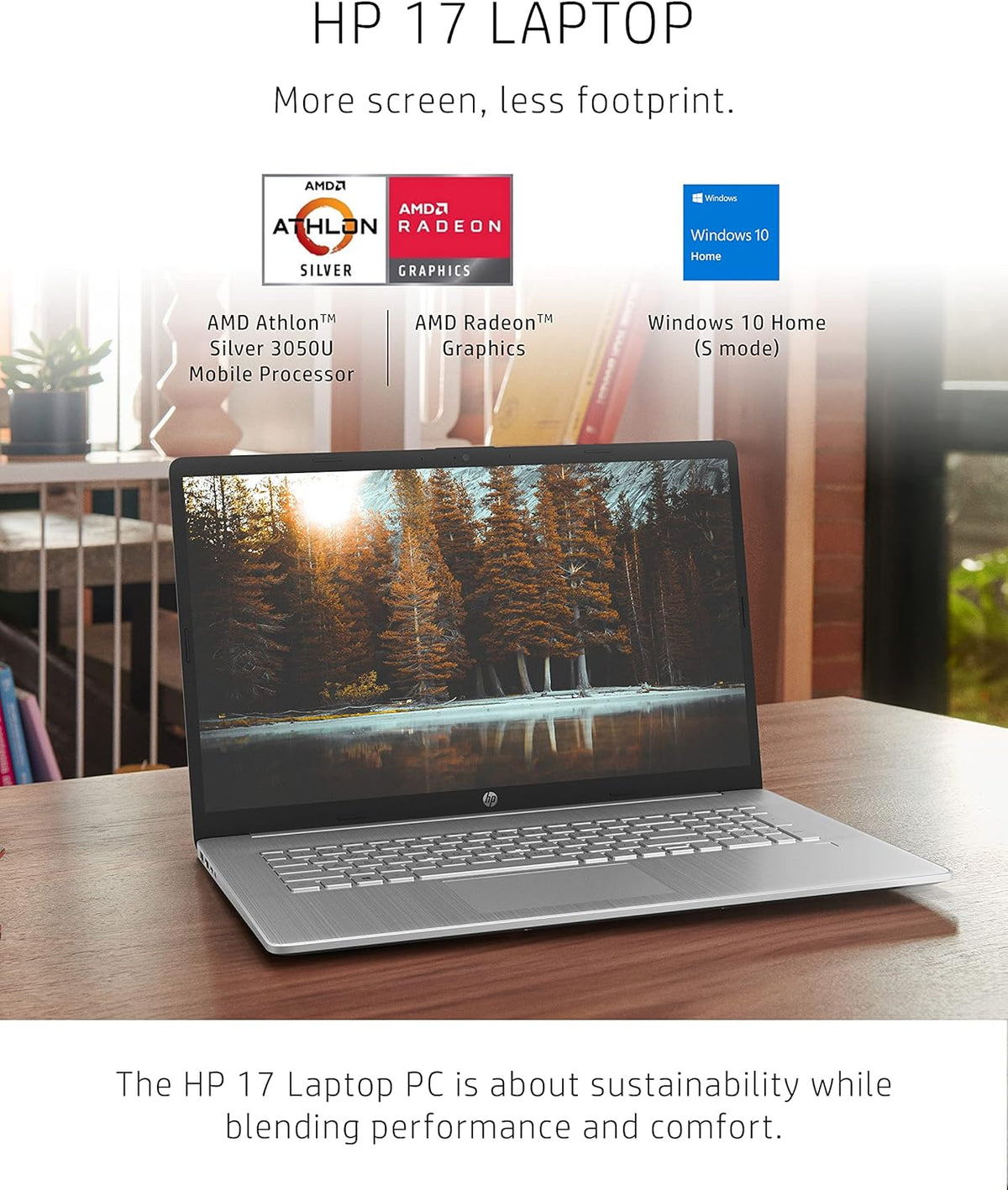 17.3-inch HD+ Display Laptop D491
