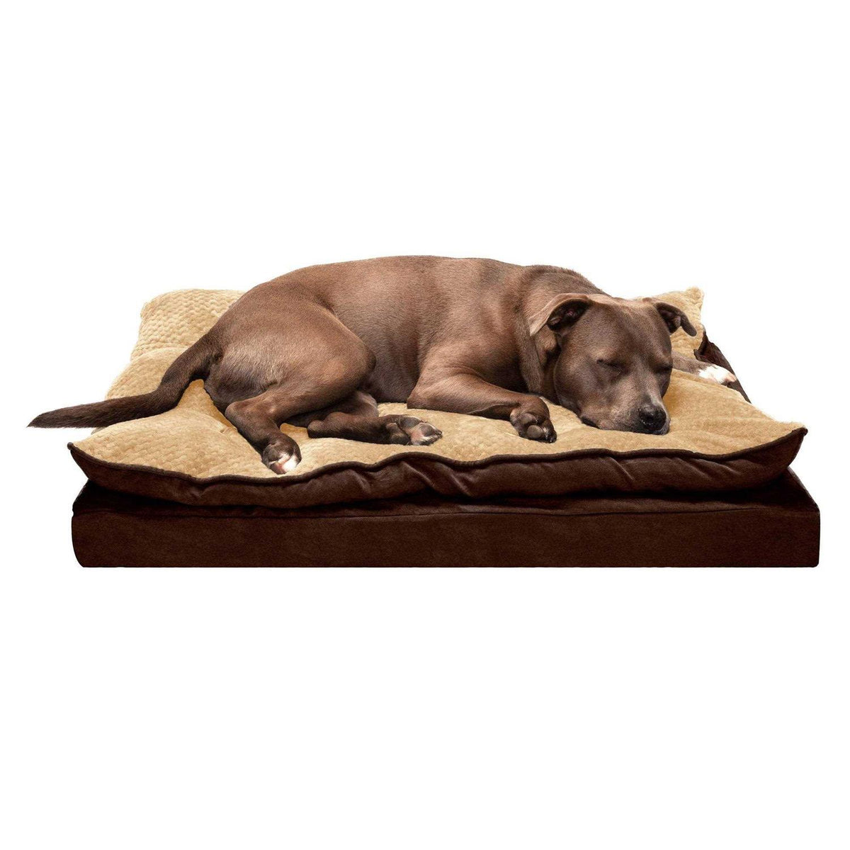 Orthopedic Dog Bed B65024
