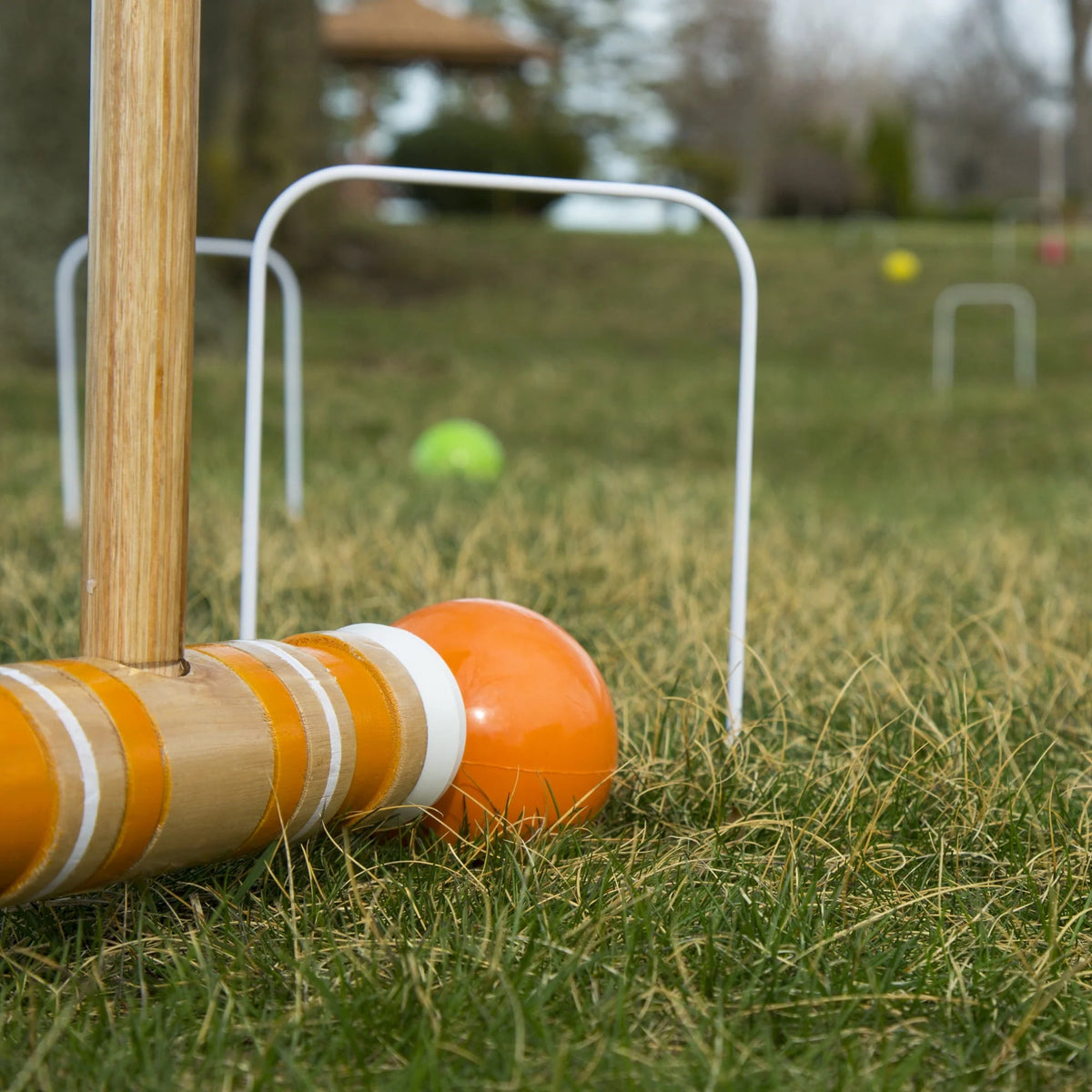 Croquet Set with Carrying Case N232383