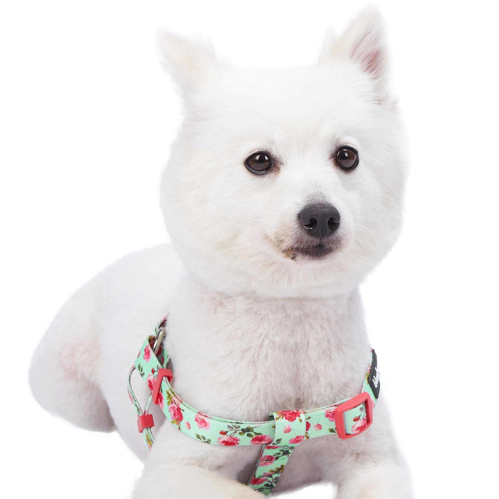 Step Dog Harness C74703