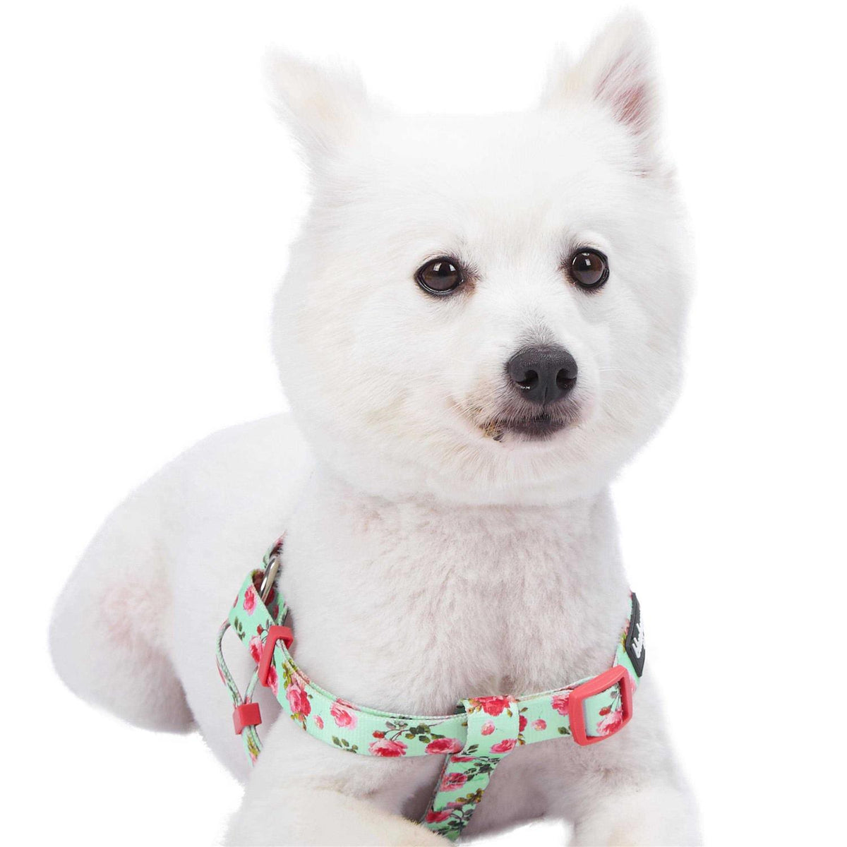 Step Dog Harness C74703