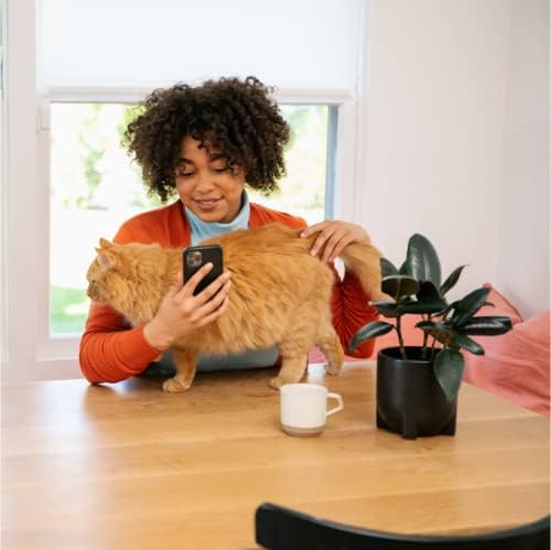 Cat DNA Test 1 Pack Q662