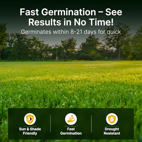 Tall Fescue Grass Seed Mix Q506