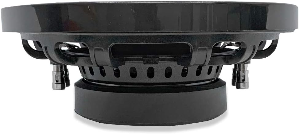 10 Inch Dual 4 Ohm Car Audio Subwoofer L523976