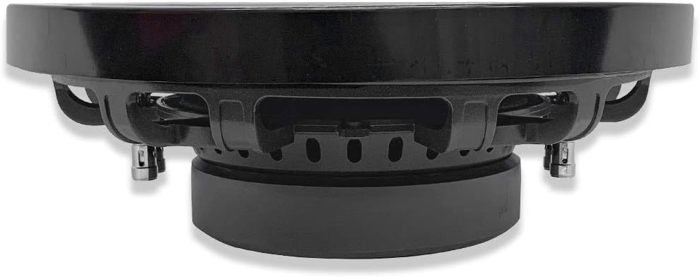 10 Inch Dual 4 Ohm Car Audio Subwoofer L523976