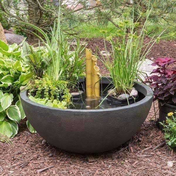 Aquatic Patio Pond Q733983