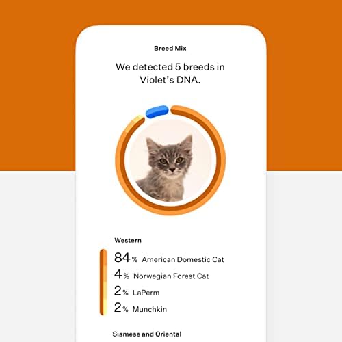 Cat DNA Test 1 Pack Q662