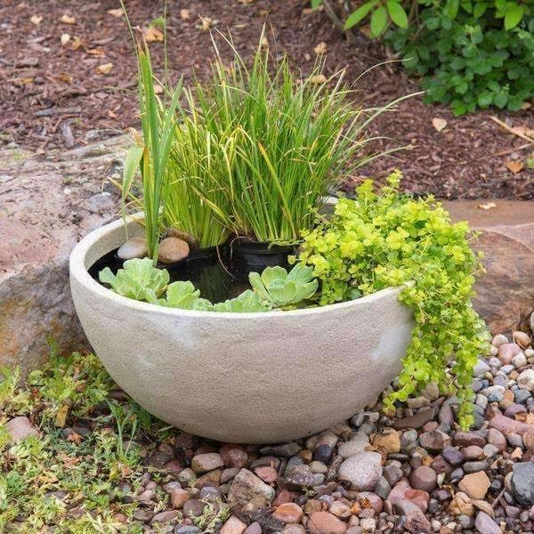 Aquatic Patio Pond Q733983
