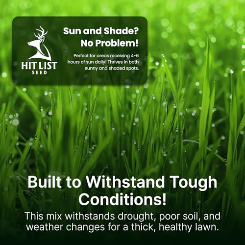 Tall Fescue Grass Seed Mix Q506