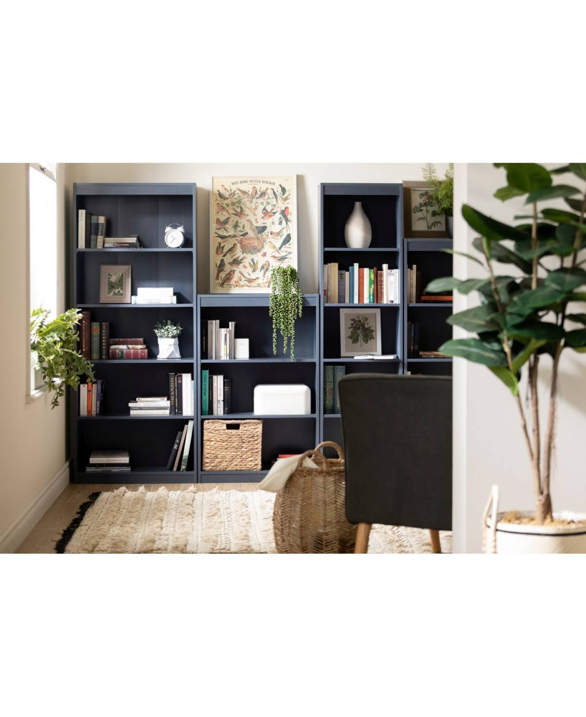 Blueberry 4-Shelf Bookcase J51454