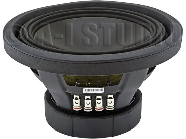 10 Inch 4 Ohm Car Subwoofer A971550