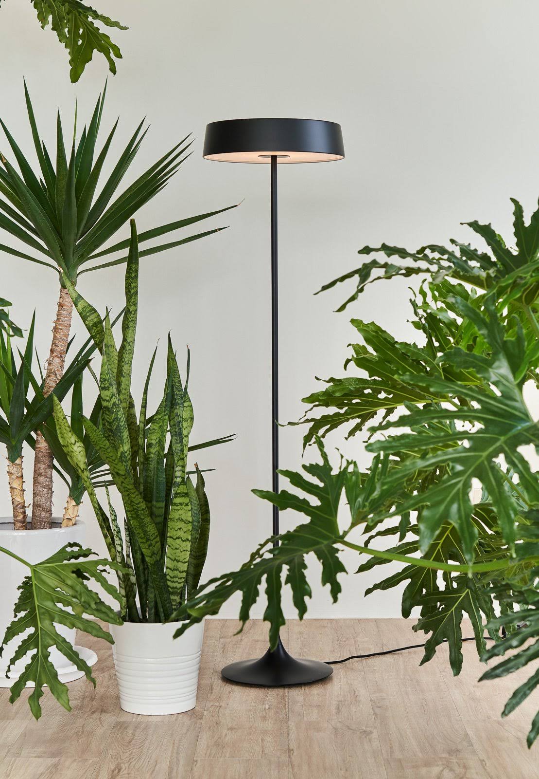 Matte Brass/Black LED Floor Lamp E300