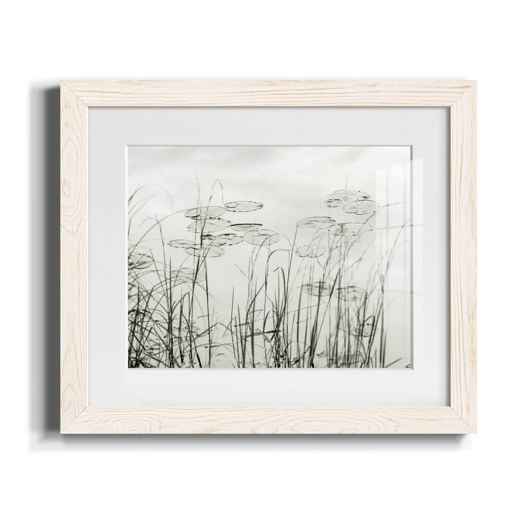 Maple Framed Print S285918