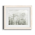 Maple Framed Print S285918