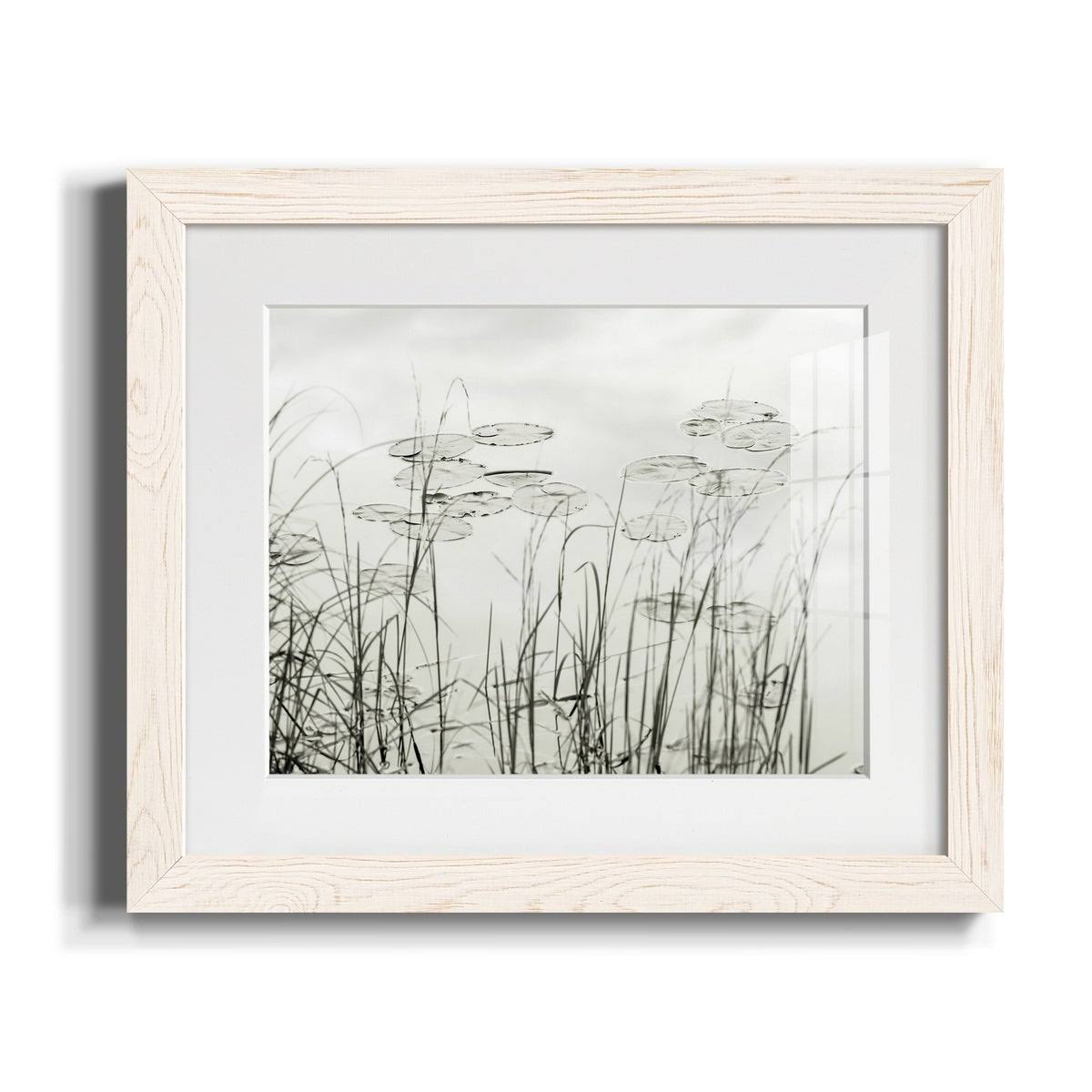 Maple Framed Print S285918