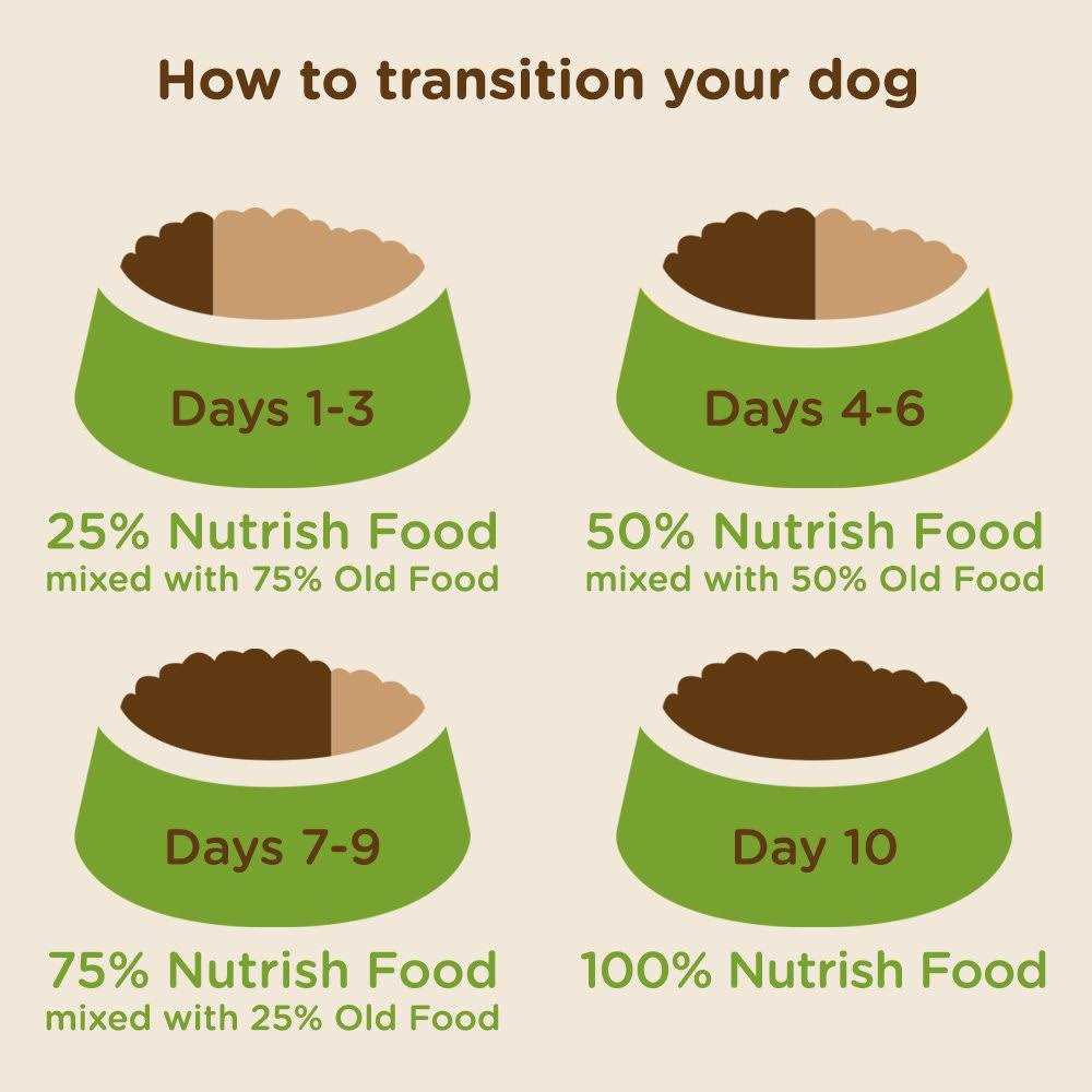 Turkey Brown Rice Dry Dog Food O21220