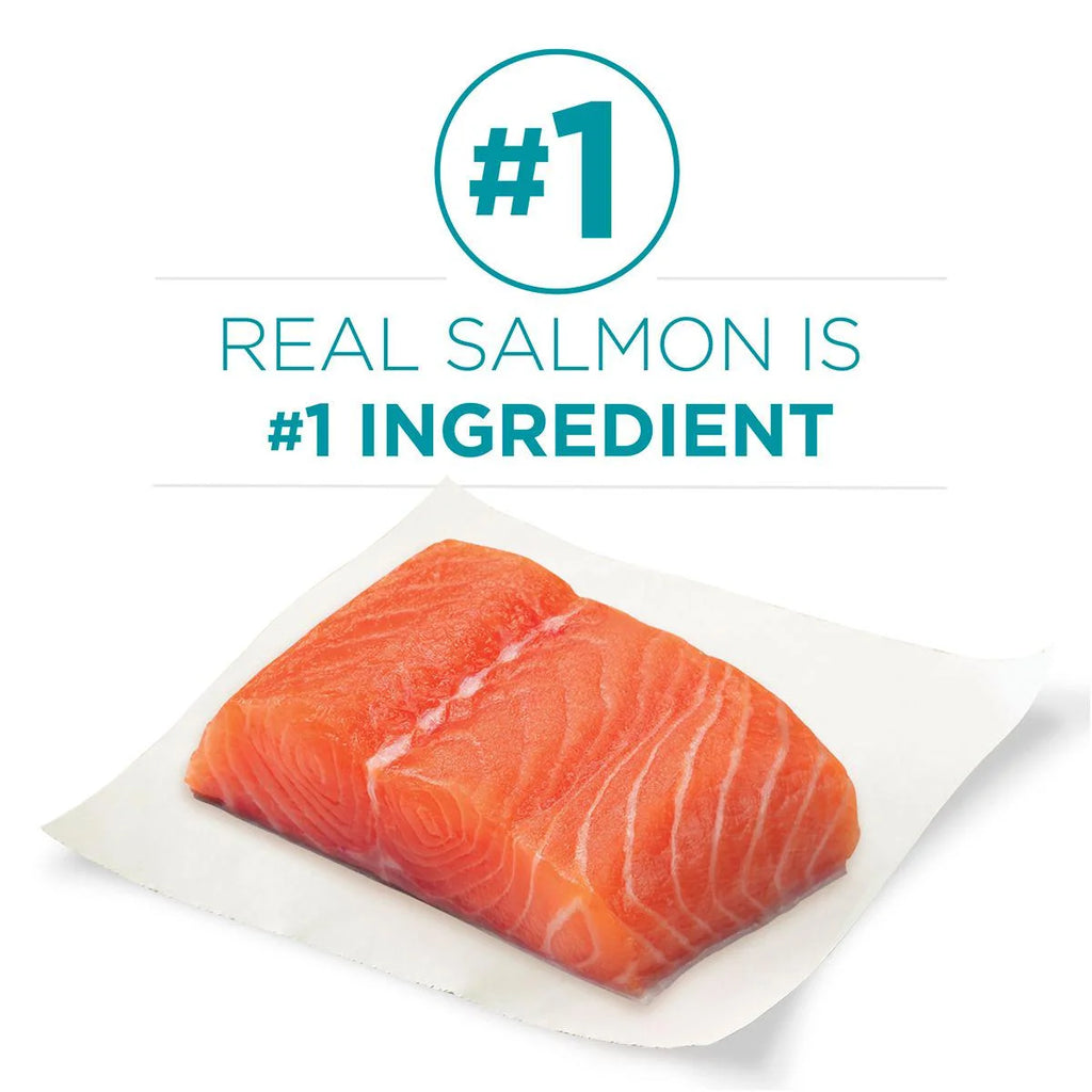 Salmon Dry Cat Food 7 lb. Bag J131702