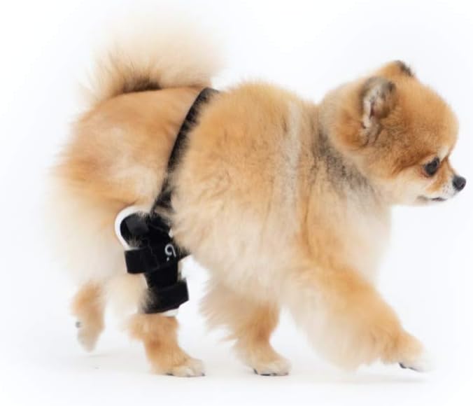Neoprene Dog Knee Brace with Patella Tracker M262