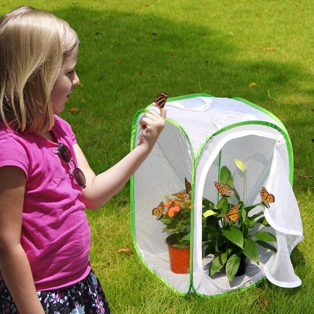 Insect and Butterfly Habitat Cage Terrarium M306526