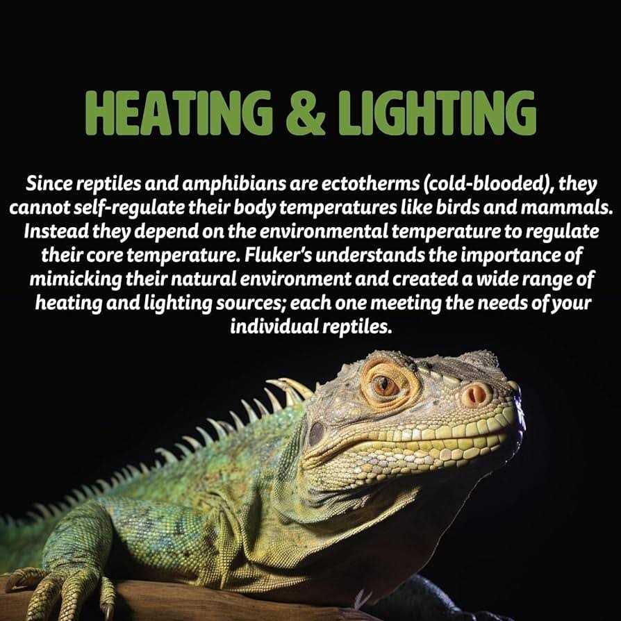 Deep Thermal Heat Lamp for Reptiles Q28140