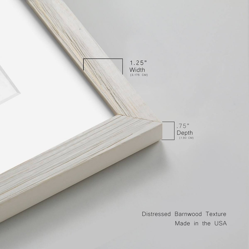 Maple Framed Print S285918