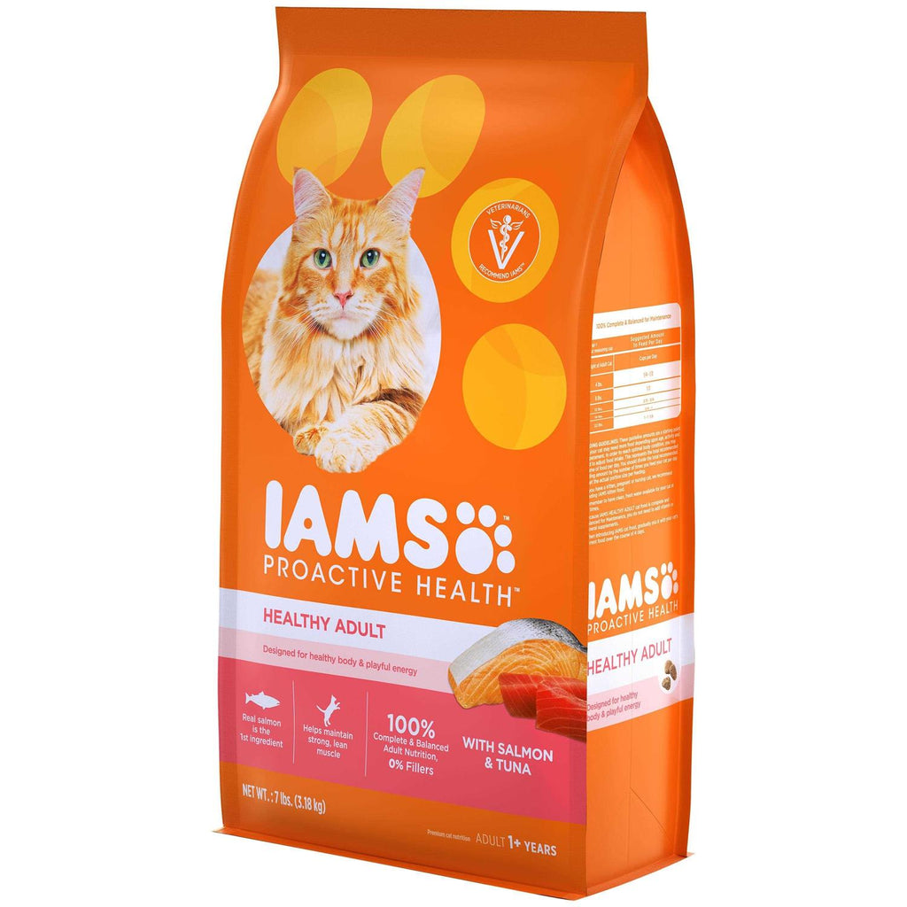 Salmon Adult Dry Cat Food A2868